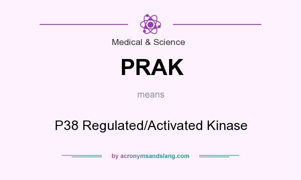 What does PRAK mean? It stands for P38 Regulated/Activated Kinase