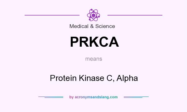 What does PRKCA mean? It stands for Protein Kinase C, Alpha