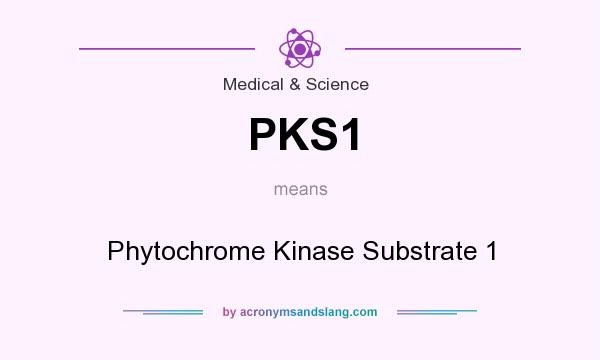 What does PKS1 mean? It stands for Phytochrome Kinase Substrate 1
