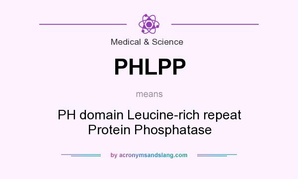 What does PHLPP mean? It stands for PH domain Leucine-rich repeat Protein Phosphatase