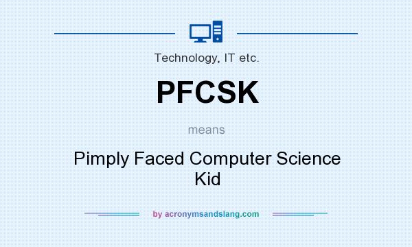 What does PFCSK mean? It stands for Pimply Faced Computer Science Kid