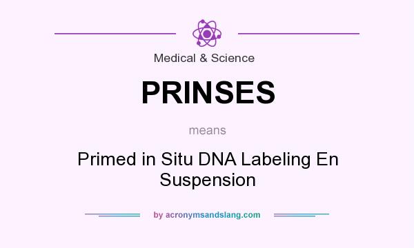 What does PRINSES mean? It stands for Primed in Situ DNA Labeling En Suspension