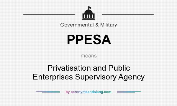 What does PPESA mean? It stands for Privatisation and Public Enterprises Supervisory Agency
