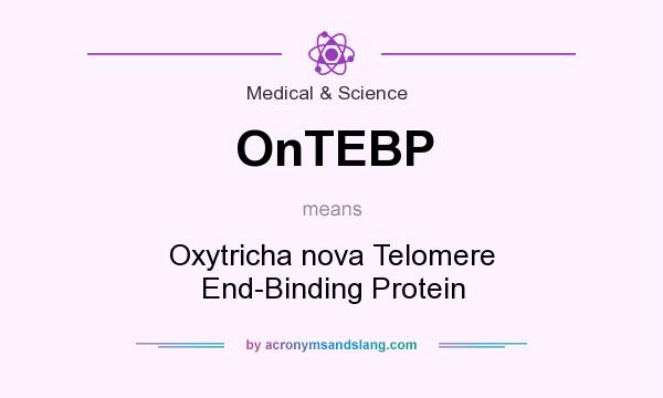 What does OnTEBP mean? It stands for Oxytricha nova Telomere End-Binding Protein
