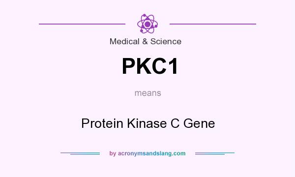 What does PKC1 mean? It stands for Protein Kinase C Gene