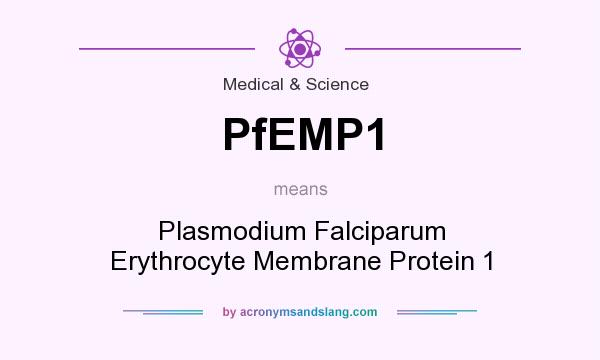 What does PfEMP1 mean? It stands for Plasmodium Falciparum Erythrocyte Membrane Protein 1