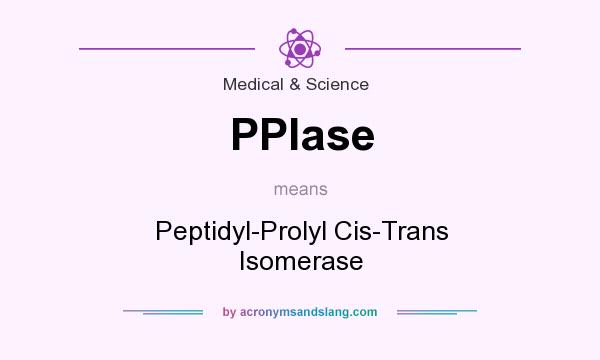 What does PPIase mean? It stands for Peptidyl-Prolyl Cis-Trans Isomerase