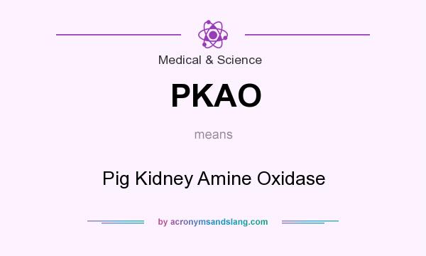 What does PKAO mean? It stands for Pig Kidney Amine Oxidase