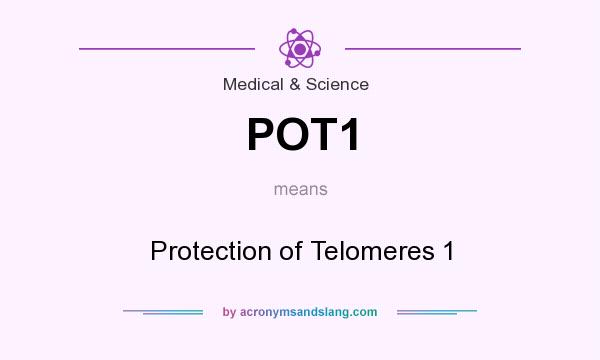 What does POT1 mean? It stands for Protection of Telomeres 1