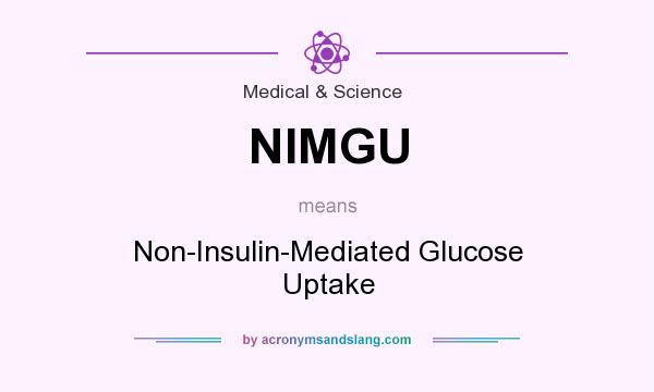 What does NIMGU mean? It stands for Non-Insulin-Mediated Glucose Uptake