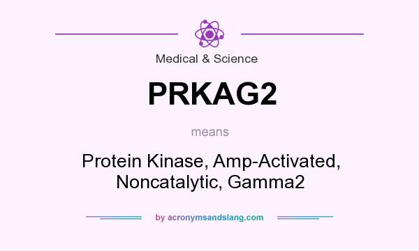 What does PRKAG2 mean? It stands for Protein Kinase, Amp-Activated, Noncatalytic, Gamma2