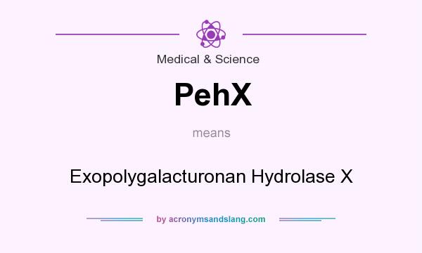 What does PehX mean? It stands for Exopolygalacturonan Hydrolase X