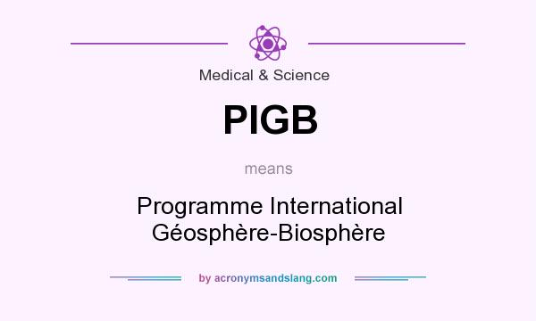 What does PIGB mean? It stands for Programme International Géosphère-Biosphère
