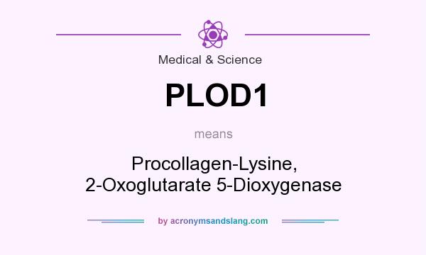 What does PLOD1 mean? It stands for Procollagen-Lysine, 2-Oxoglutarate 5-Dioxygenase