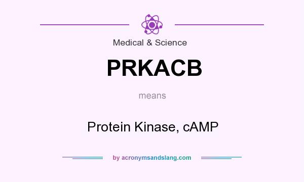 What does PRKACB mean? It stands for Protein Kinase, cAMP