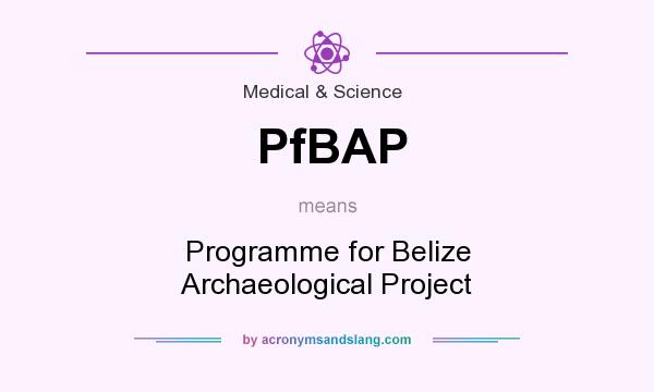 What does PfBAP mean? It stands for Programme for Belize Archaeological Project
