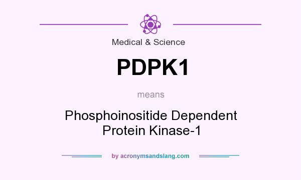 What does PDPK1 mean? It stands for Phosphoinositide Dependent Protein Kinase-1