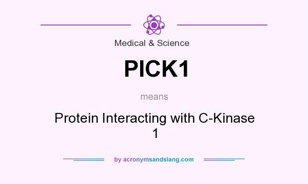 What does PICK1 mean? It stands for Protein Interacting with C-Kinase 1