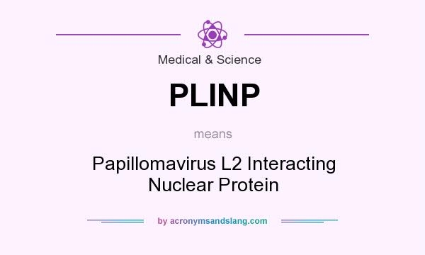 What does PLINP mean? It stands for Papillomavirus L2 Interacting Nuclear Protein