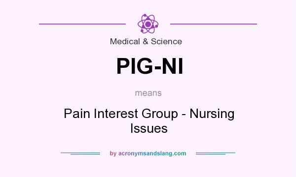 What does PIG-NI mean? It stands for Pain Interest Group - Nursing Issues