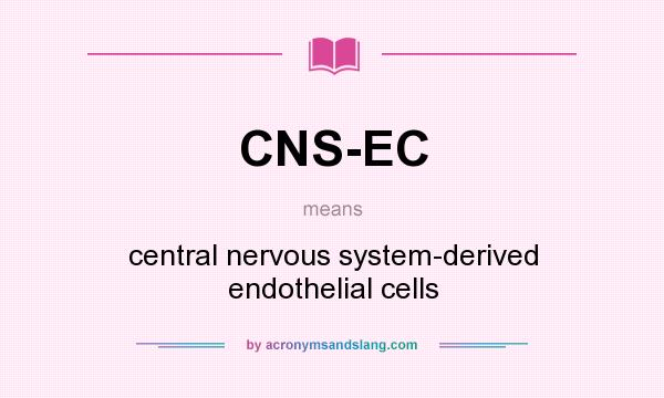 What does CNS-EC mean? It stands for central nervous system-derived endothelial cells