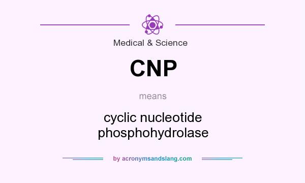 What does CNP mean? It stands for cyclic nucleotide phosphohydrolase