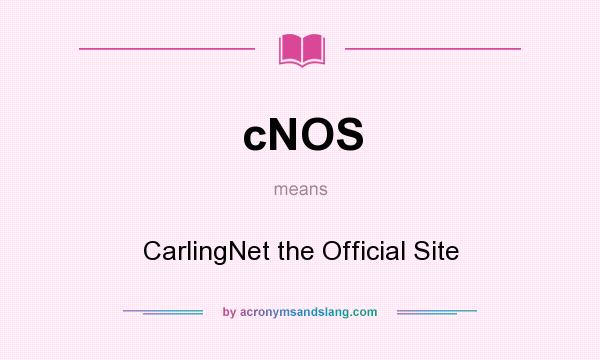 What does cNOS mean? It stands for CarlingNet the Official Site