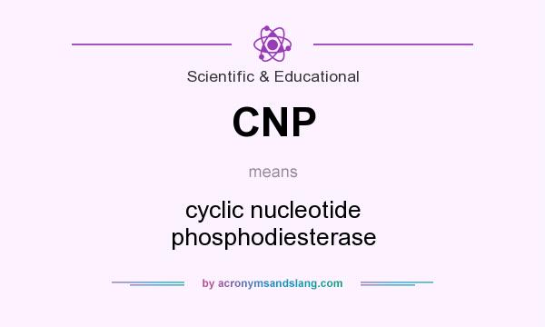 What does CNP mean? It stands for cyclic nucleotide phosphodiesterase