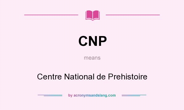 What does CNP mean? It stands for Centre National de Prehistoire
