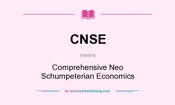 What does CNSE mean? It stands for Comprehensive Neo Schumpeterian Economics