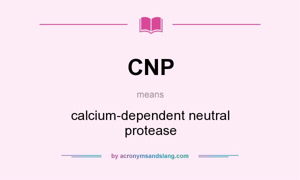 What does CNP mean? It stands for calcium-dependent neutral protease