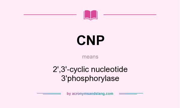 What does CNP mean? It stands for 2`,3`-cyclic nucleotide 3`phosphorylase