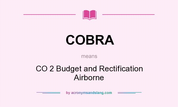 What does COBRA mean? It stands for CO 2 Budget and Rectification Airborne