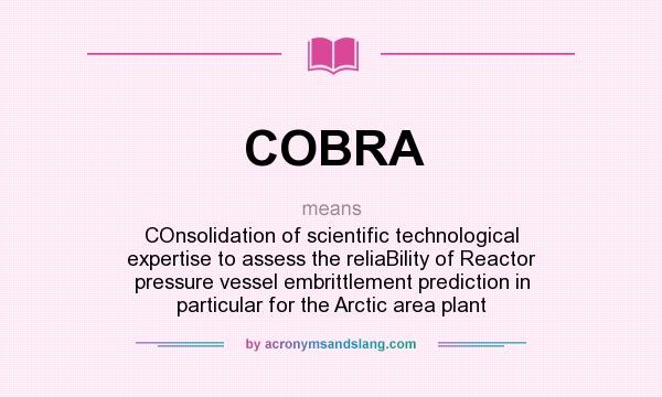 What does COBRA mean? It stands for COnsolidation of scientific technological expertise to assess the reliaBility of Reactor pressure vessel embrittlement prediction in particular for the Arctic area plant