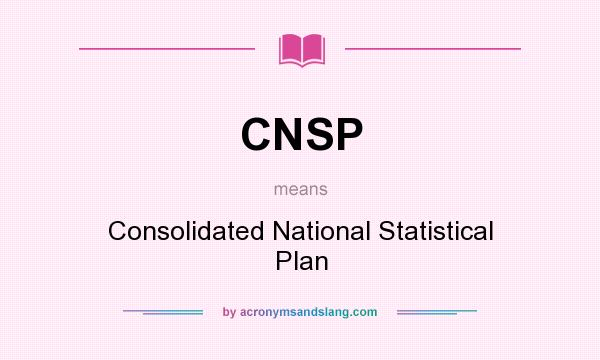 What does CNSP mean? It stands for Consolidated National Statistical Plan