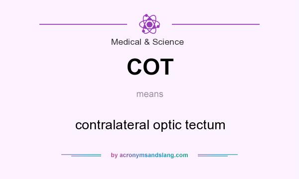 What does COT mean? It stands for contralateral optic tectum