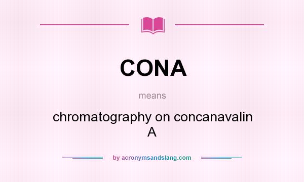 What does CONA mean? It stands for chromatography on concanavalin A