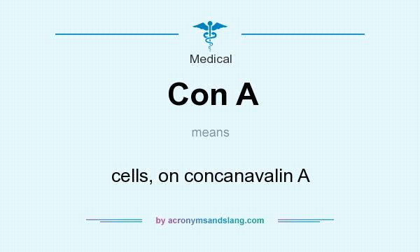 What does Con A mean? It stands for cells, on concanavalin A
