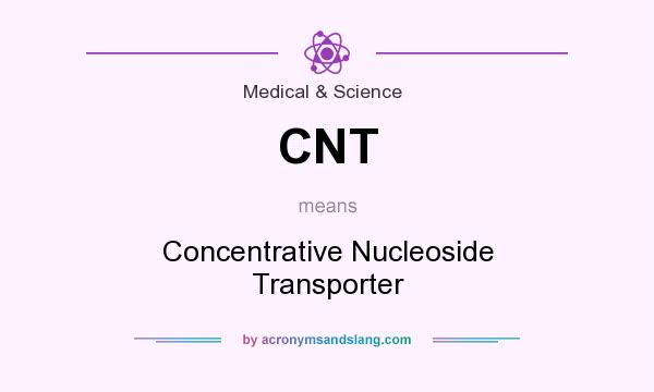 What does CNT mean? It stands for Concentrative Nucleoside Transporter