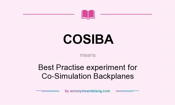 What does COSIBA mean? It stands for Best Practise experiment for Co-Simulation Backplanes