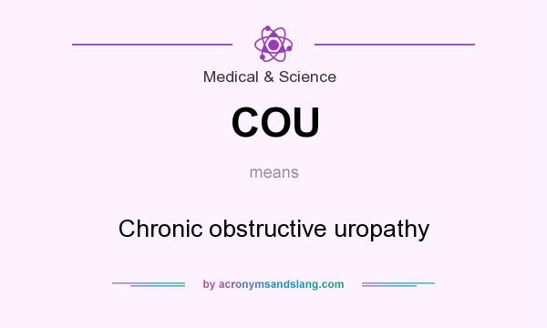 What does COU mean? It stands for Chronic obstructive uropathy