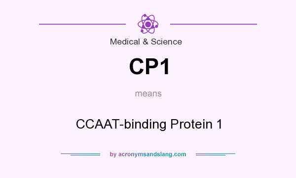 What does CP1 mean? It stands for CCAAT-binding Protein 1