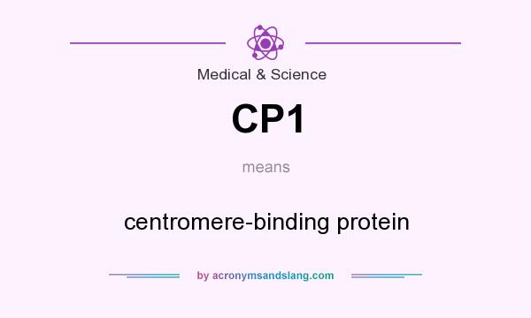 What does CP1 mean? It stands for centromere-binding protein