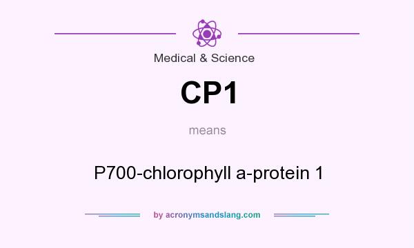 What does CP1 mean? It stands for P700-chlorophyll a-protein 1