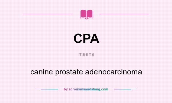 What does CPA mean? It stands for canine prostate adenocarcinoma