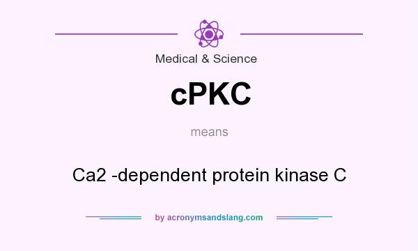What does cPKC mean? It stands for Ca2 -dependent protein kinase C
