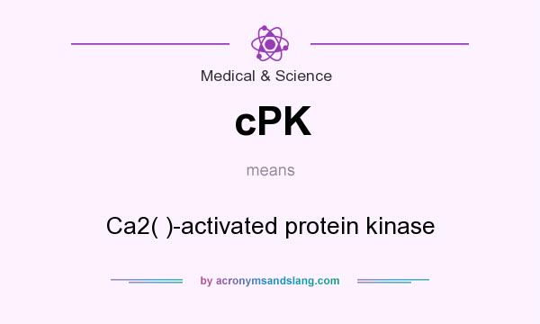 What does cPK mean? It stands for Ca2( )-activated protein kinase