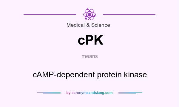 What does cPK mean? It stands for cAMP-dependent protein kinase