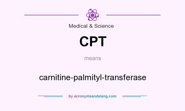 What does CPT mean? It stands for carnitine-palmityl-transferase