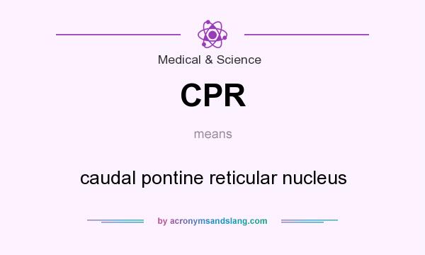 What does CPR mean? It stands for caudal pontine reticular nucleus
